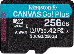 Карта памяти microSDXC Canvas Go Plus (256 Гб, UHS-I, U3, V30) (SDCG3/256GB) RU - Фото