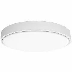 Лампа потолочная Yeelight Jade Ceiling Light 450mm (C2001C450) (YLXD036) (White) RU - Фото