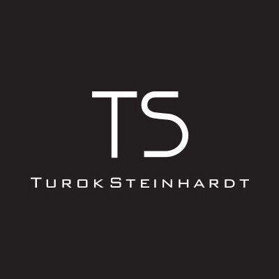 Turok Steinhardt