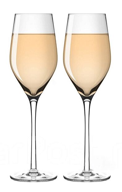 Бокалы для шампанского ручной работы Circle Joy (265 ml) (CJ-JB02) - 2