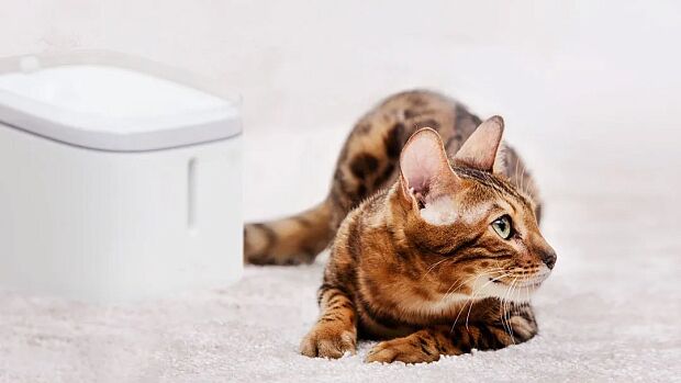Xiaomi Kitten&Puppy Pet Water Dispenser (White) - 5