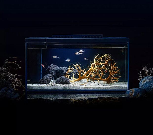 Умный аквариум с оформлением Petkit Origin Fish Cylinder with Landscaping Twiligh Jump Shadow Set 10 - 3