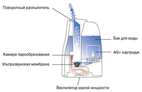 Схема устройства ультразвукового увлажнителя воздуха