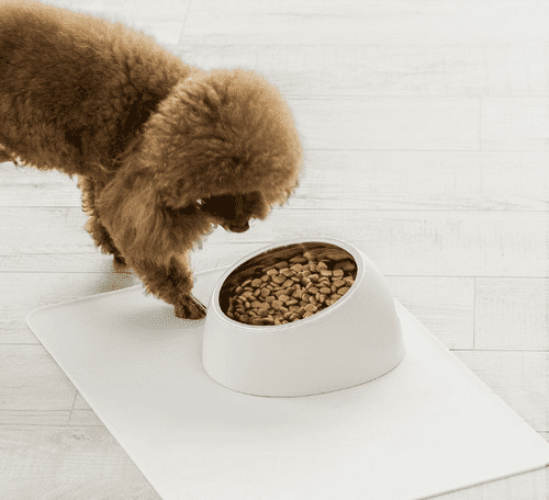 Процесс кормления собаки из миски Xiaomi Jordan Judy Pet Bowl