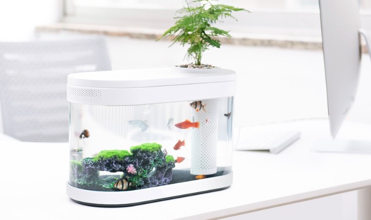 Подключение аквариума xiaomi к телефону Xiaomi выпускает необычный аквариум Fish Tank Новости Xiaomi от Xiacom