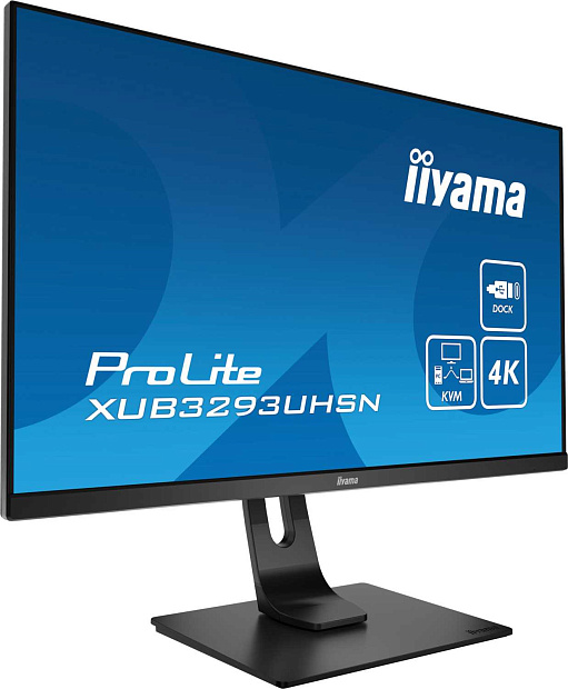 Монитор LCD 31,5 IIYAMA XUB3293UHSN-B1 - 4